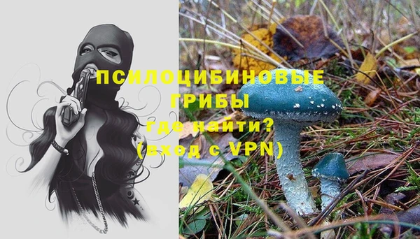 не бодяженный Володарск