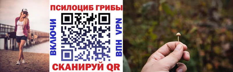 Галлюциногенные грибы Psilocybine cubensis Горячий Ключ