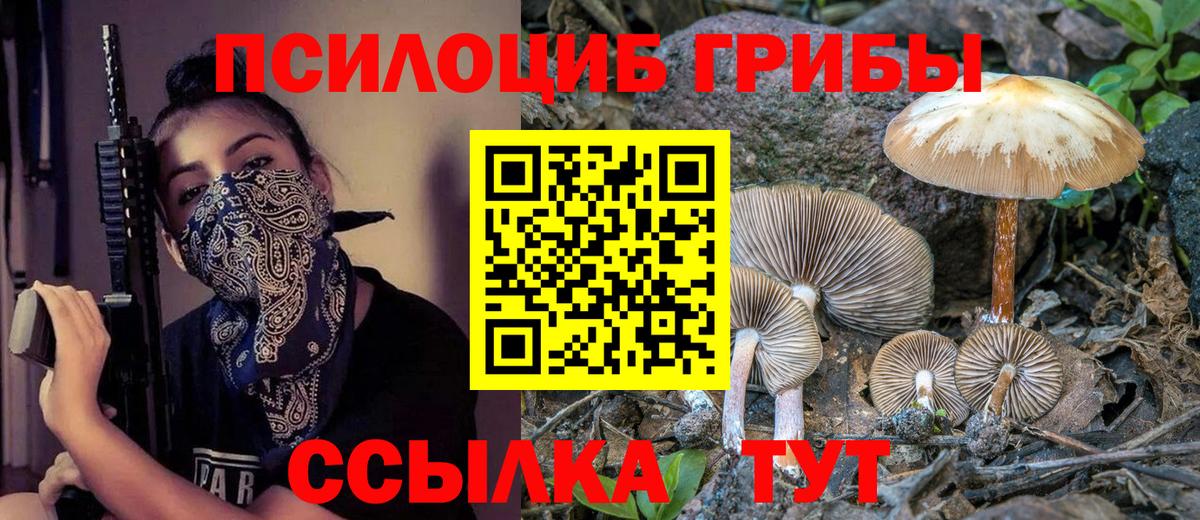 Псилоцибиновые грибы MAGIC MUSHROOMS Горячий Ключ