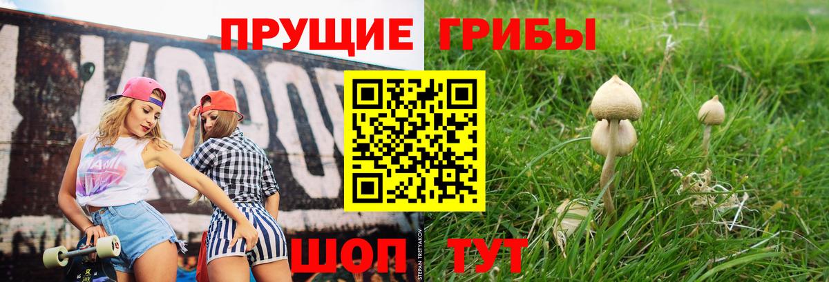 Горячий Ключ  Галлюциногенные грибы GOLDEN TEACHER  купить закладку  Вход с VPN 