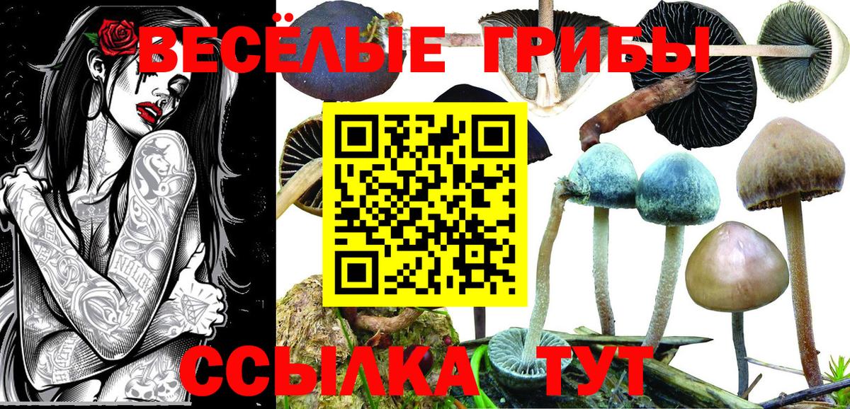 Галлюциногенные грибы Magic Shrooms  Горячий Ключ 