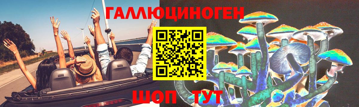 Псилоцибиновые грибы MAGIC MUSHROOMS Горячий Ключ